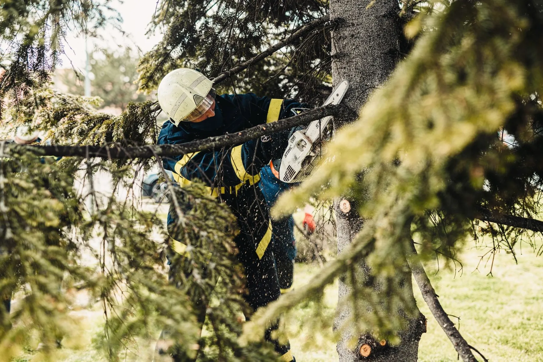 Fresh-cut branches gathered for chipping and removal
